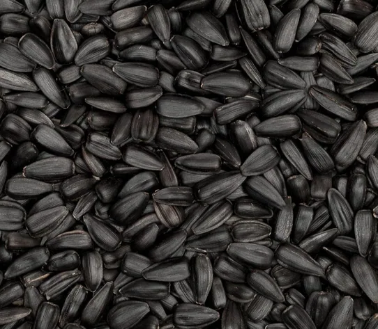 Black Seed Oil